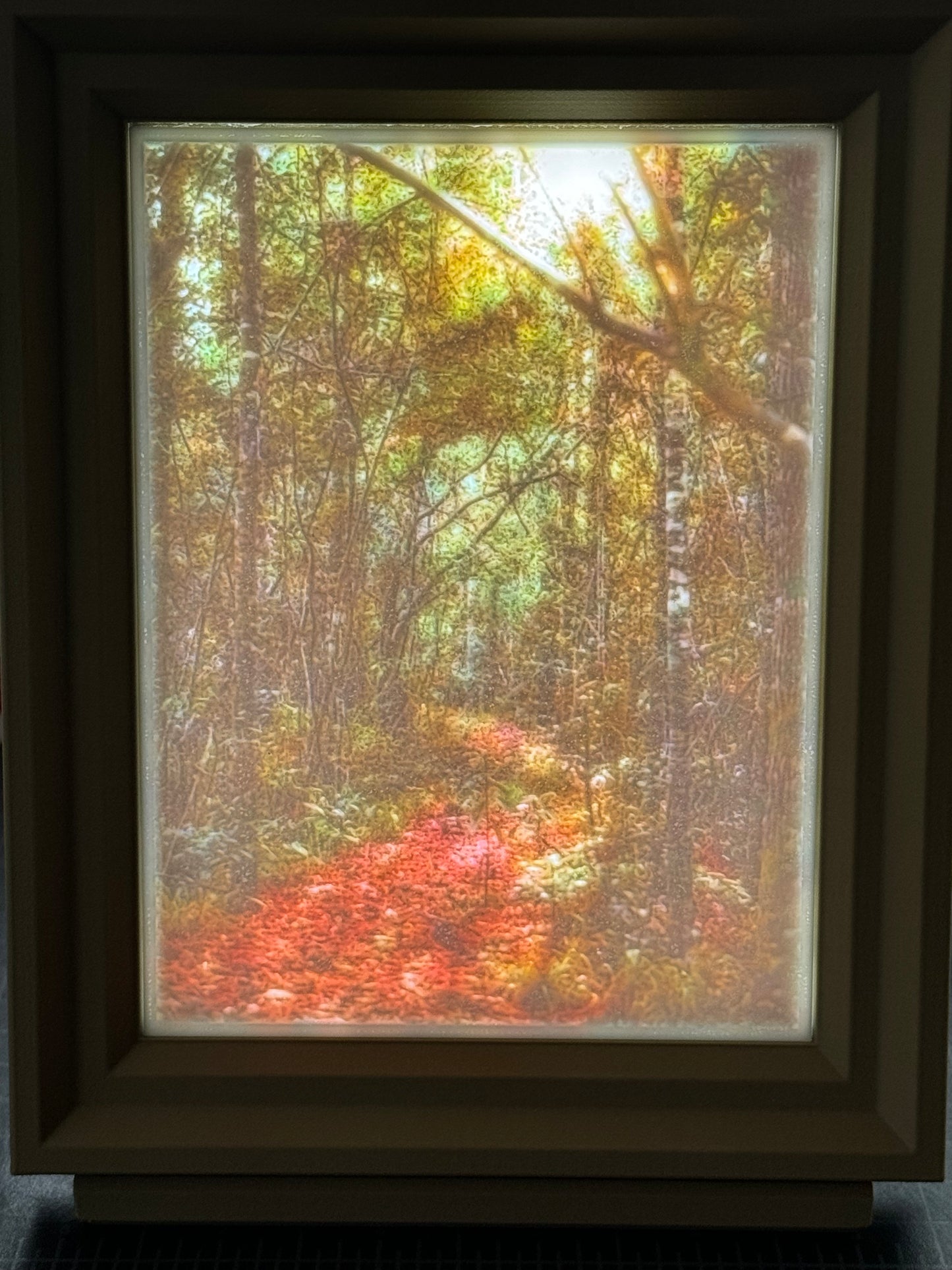 Scenic Lithophane
