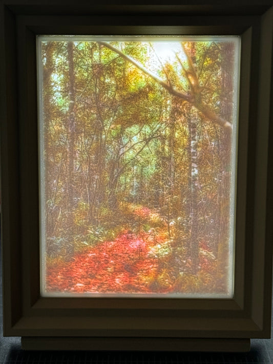 Scenic Lithophane